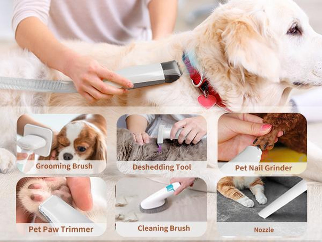 7-In-1 Grooming Brushes Pet Groomer Brushes for Dogs &Cats with Multi-Pack Attachments for Shedding Groomingand Pet Care Effortless Grooming & Vacuuming 6 Preciseguide Combs Low Noise Design