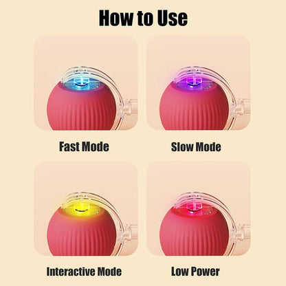 Chewie Ball, Chewie Viral Rolling Ball, Interactive Cat Ball Toy, Chewie Ball for Dogs, Chewie Smart Automatic Rolling Pet Ball, Automatic 360° Rotating Rolling Ball with USB Charging