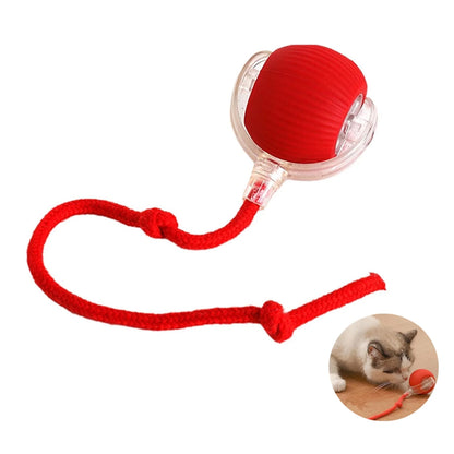 Chewie Ball, Chewie Viral Rolling Ball, Interactive Cat Ball Toy, Chewie Ball for Dogs, Chewie Smart Automatic Rolling Pet Ball, Automatic 360° Rotating Rolling Ball with USB Charging